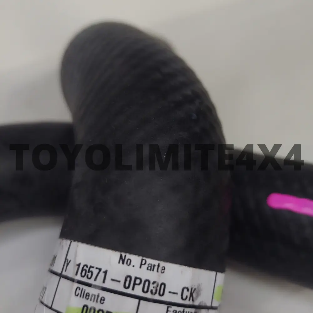 Copia de TOYOLIMITE4X4 (43)